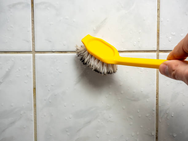 Best Residential Mold Removal  in Rainbow City, AL