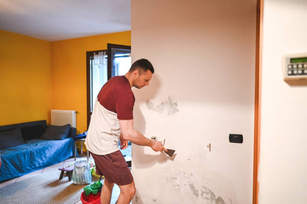 Best Attic Mold Removal  in Rainbow City, AL
